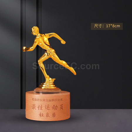 Customization Wooden Metal Trophy Corporate Gifts