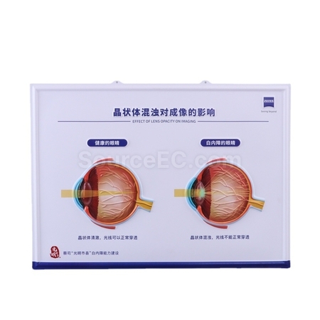 3D thermoformed wall chart