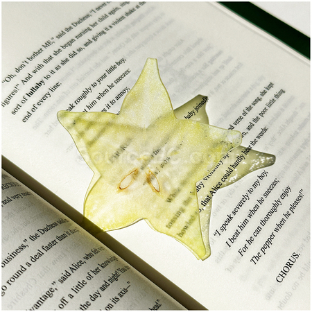 Customization Promotional Acrylic Bookmarks Corporate Gifts