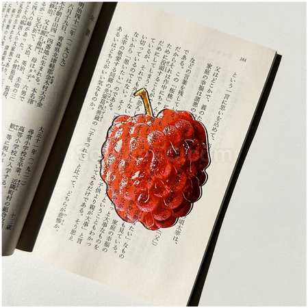 Customization Promotional Acrylic Bookmarks Corporate Gifts