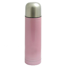 750ML Trendy Vacuum Flask