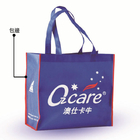 Non-Woven Bag