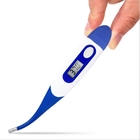 Electronic Thermometer
