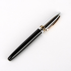 Metal Pen