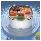 Home fruit And Vegetable Air Purifier