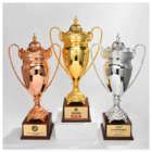 Extra Large Metal Trophy