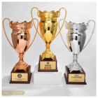 Large Metal Trophy